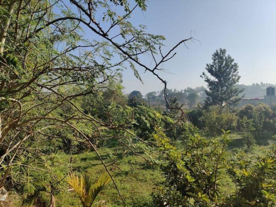 Sattva Farmstay Бенґалуру Екстер'єр фото